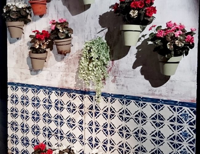 Hasta Palomares(6).Pablo Martínez Bravo.9Norte 2019